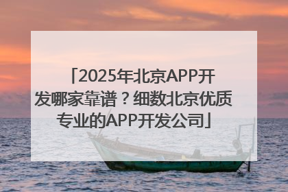 2025年北京APP开发哪家靠谱？细数北京优质专业的APP开发公司
