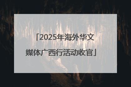 2025年海外华文媒体广西行活动收官