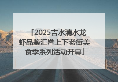 2025吉水清水龙虾品鉴汇暨上下老街美食季系列活动开幕