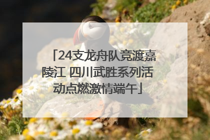 24支龙舟队竞渡嘉陵江 四川武胜系列活动点燃激情端午