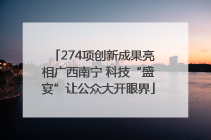 274项创新成果亮相广西南宁 科技“盛宴”让公众大开眼界