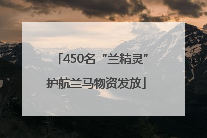450名“兰精灵”护航兰马物资发放