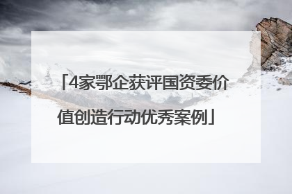 4家鄂企获评国资委价值创造行动优秀案例