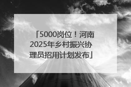 5000岗位！河南2025年乡村振兴协理员招用计划发布