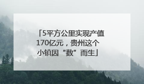 5平方公里实现产值170亿元，贵州这个小镇因“数”而生