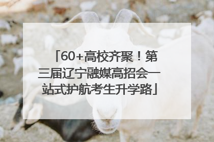 60+高校齐聚！第三届辽宁融媒高招会一站式护航考生升学路