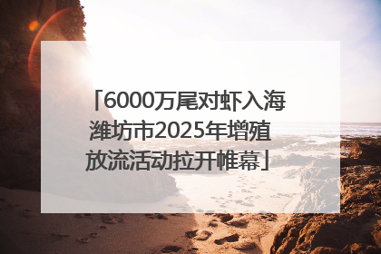 6000万尾对虾入海 潍坊市2025年增殖放流活动拉开帷幕