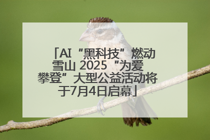 AI“黑科技”燃动雪山 2025“为爱攀登”大型公益活动将于7月4日启幕
