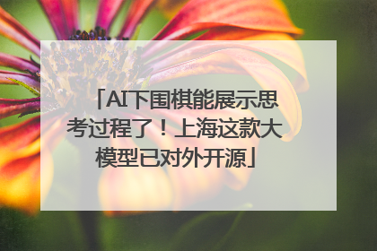 AI下围棋能展示思考过程了！上海这款大模型已对外开源
