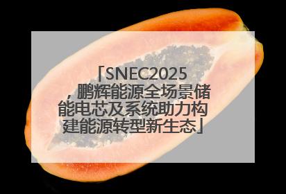 SNEC2025，鹏辉能源全场景储能电芯及系统助力构建能源转型新生态