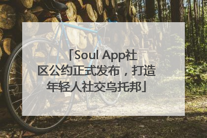 Soul App社区公约正式发布，打造年轻人社交乌托邦